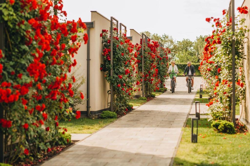 San Servolo Wellness Resort - Adults Only Buje Esterno foto
